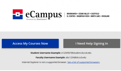 eCampus Logo