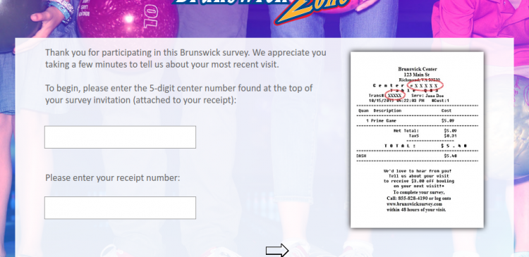 Brunswick survey