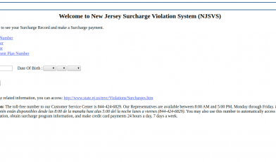 NJSVS - Pay By Web Logo