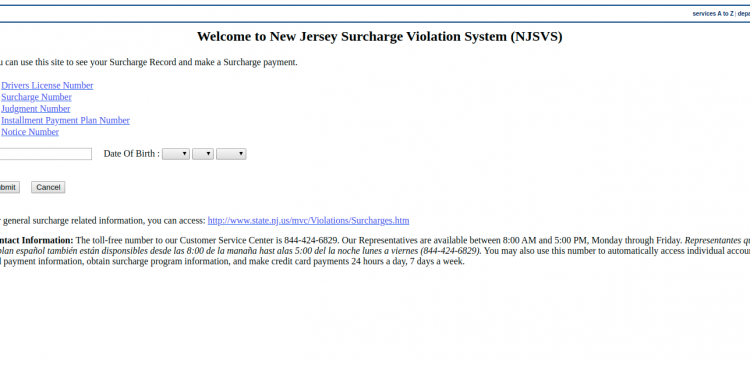 NJSVS - Pay By Web Logo