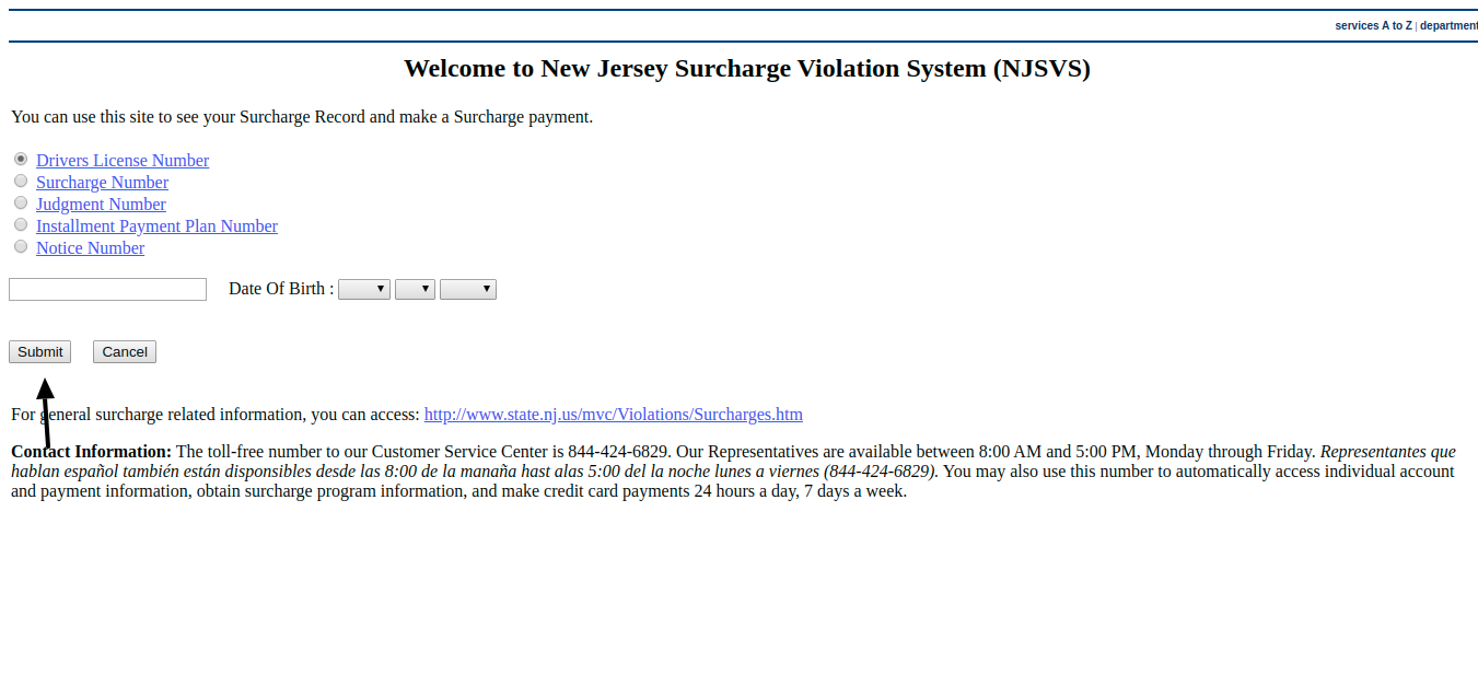 NJSVS - Pay By Web